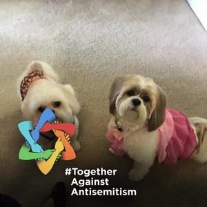 Meet your Posher, Randie